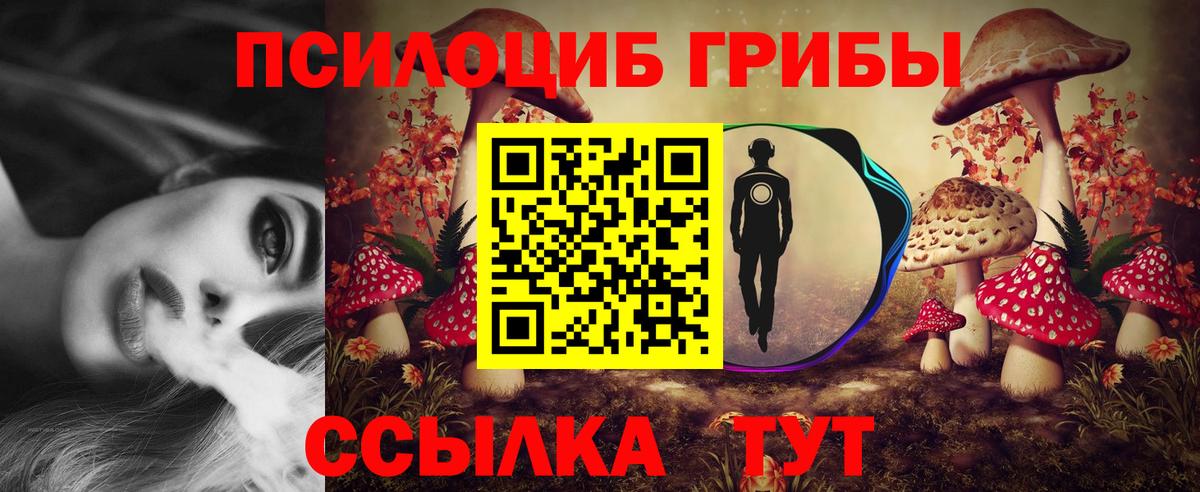 наркотики  Вход с VPN  Хасавюрт  Псилоцибиновые грибы GOLDEN TEACHER 